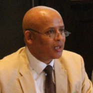 Professor Teferra